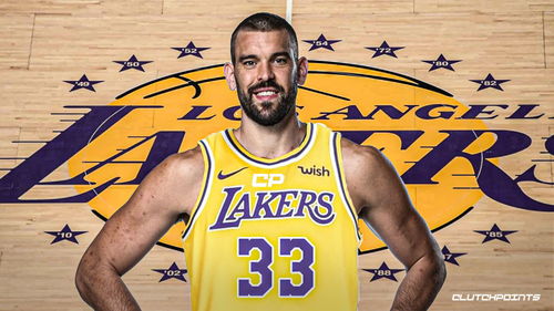 2026年NBA湖人阵容,新老交替中的冠军拼图 2026年NBA湖人阵容,新老交替中的冠军拼图