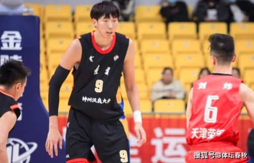 男篮王哲林个人资料身高,从天赋少年到内线巨塔的成长之路 男篮王哲林个人资料身高,从天赋少年到内线巨塔的成长之路