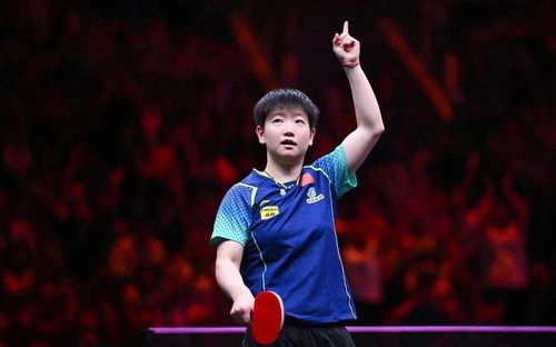 2026乒乓球有混双吗?赛事新周期下的项目布局与展望 2026乒乓球有混双吗?赛事新周期下的项目布局与展望