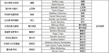 世界杯淘汰赛裁判名单公布,公正执法的关键一步 世界杯淘汰赛裁判名单公布,公正执法的关键一步