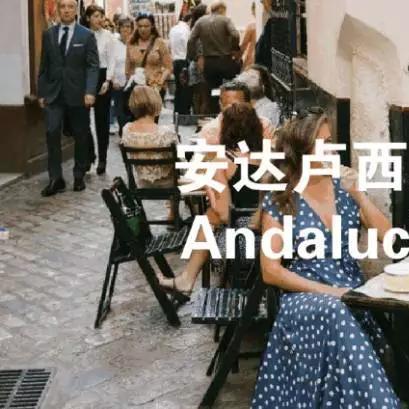 橙色的荣光，2010年南非世界杯冠军西班牙的加冕之路